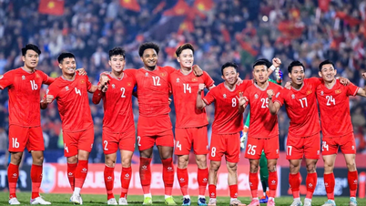 Đội tuyển Việt Nam tăng bậc mạnh trên bảng xếp hạng FIFA