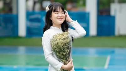 Nữ sinh từng đỗ 4 trường chuyên đạt IELTS 8.5 và SAT 1% toàn cầu
