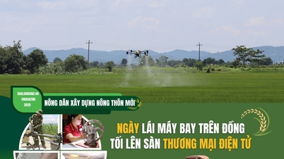 កសិករ​កំពុង​សាងសង់​តំបន់​ជនបទ​ថ្មី៖ ហោះហើរ​យន្តហោះ​លើ​វាលស្រែ​នៅ​ពេលព្រឹក ធ្វើ​ពាណិជ្ជកម្ម​លើ​វេទិកា​ពាណិជ្ជកម្ម​អេឡិចត្រូនិក​នៅ​ពេលល្ងាច។