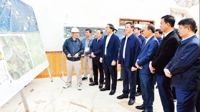 הגברת תפקידן של ועדות המפלגה בפינוי קרקעות.