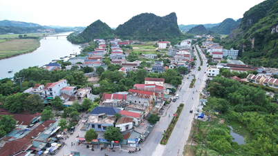 ផុងញ៉ា៖ ការតុបតែងលម្អទីក្រុង ត្រៀមខ្លួនសម្រាប់រដូវទេសចរណ៍ថ្មី។