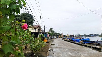 Sebuah perkampungan desa yang hijau, bersih, dan indah.