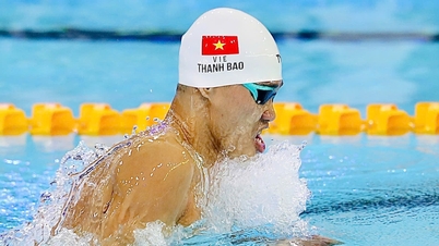 東南アジア競技大会第33回水泳メダル順位：シンガポールが圧勝