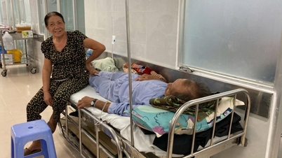 Bakteri penyebab infeksi usus terdeteksi pada sampel roti di Lam Dong.