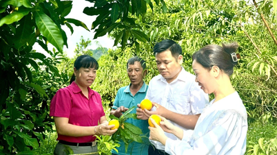សមិទ្ធផលជាច្រើនក្នុងការកាត់បន្ថយភាពក្រីក្រនៅសង្កាត់ទ្រុងតាម។