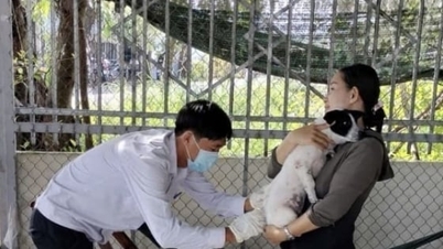 Ca Mau renforce la surveillance des maladies pendant la saison hiver-printemps.