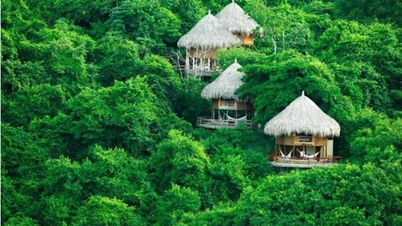 Vườn quốc gia Tayrona: Thiên đường hoang sơ bên bờ biển Caribe