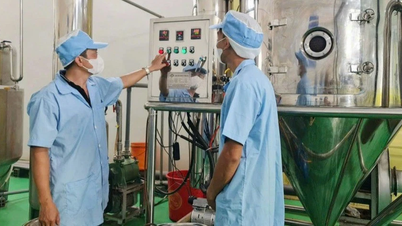 Działania promujące przemysł: Wykorzystanie potencjału produkcyjnego sektora prywatnego do zwiększenia jego potencjału.
