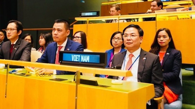 Diálogo y cooperación para el progreso de los derechos humanos: Una mirada a la implementación por parte de Vietnam de las recomendaciones del cuarto ciclo del EPU.