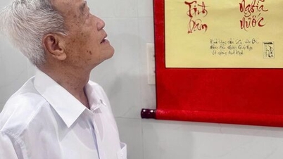 退役軍人の思い出：ドゥック・ホア氏への永遠の感謝