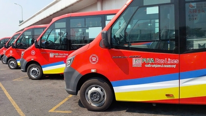 Dlaczego warto wybrać autobus turystyczny w Hoi An?