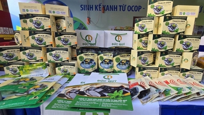 OCOP បង្កើតតម្លៃប្រកបដោយចីរភាពសម្រាប់ផលិតផលកសិកម្មរបស់ខេត្តឡាងសើន។
