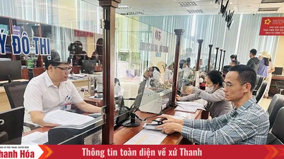 ធ្វើការរួមគ្នាដើម្បីកែលម្អគុណភាពសេវាកម្ម។