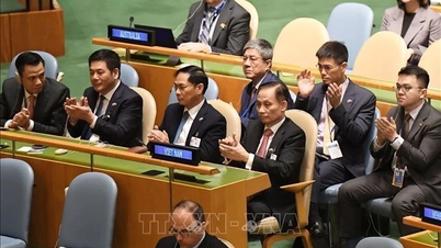 El papel de Vietnam en el Consejo de Derechos Humanos de las Naciones Unidas