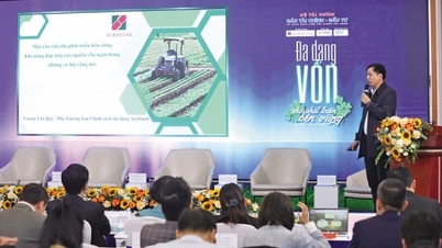 “Kiềng ba chân” cho vốn xanh bứt tốc