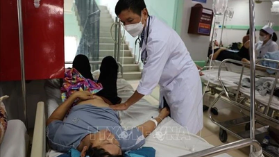 Maximale Ressourcen werden auf die Behandlung der zahlreichen Patienten konzentriert, die in Ho-Chi-Minh-Stadt nach dem Verzehr von Brot unter Verdacht auf Lebensmittelvergiftung stehen.