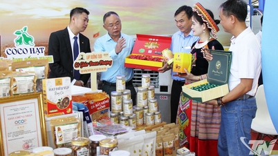 ផ្សព្វផ្សាយពាណិជ្ជសញ្ញា OCOP របស់ខេត្ត Thai Nguyen នៅតំបន់ភាគខាងត្បូង។
