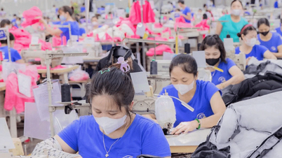 Workers' rights in the context of integration: Challenges from new-generation FTAs ​​and Vietnam's efforts.
