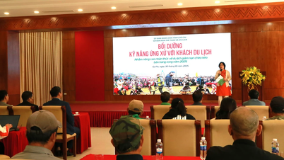 The entire province organized over 30 training courses to improve the quality of human resources in the tourism sector.