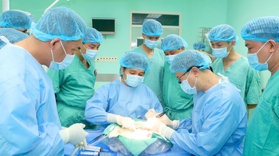 Patru vieți reînviate prin intervenții chirurgicale de transplant extraordinare la Spitalul Central din Hue.