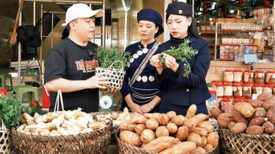 ការបញ្ជាទិញ OCOP ជាង 200 ត្រូវបានបញ្ចប់បន្ទាប់ពីការផ្សាយផ្ទាល់រយៈពេល 3 ម៉ោងនៃការតាំងពិព័រណ៍ទីផ្សារ។
