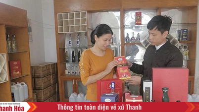 Hậu Lộc nâng cao năng lực truyền thông để thoát nghèo bền vững (Bài cuối): Truyền thông hiệu quả, giảm nghèo bền vững