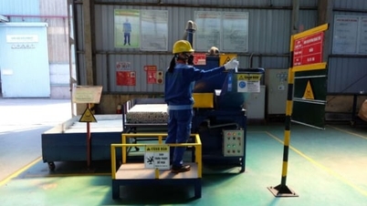 Thuan Thanh ENCO - Greening the environment, aiming for sustainable development.