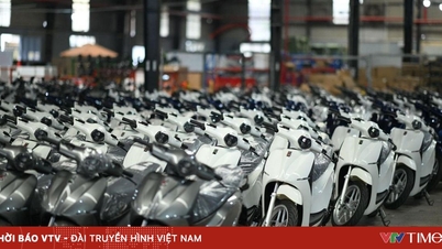 Electric motorcycle market in 2025: A race to accelerate, which brands are gaining the advantage?