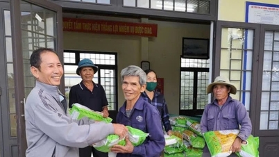 Hỗ trợ 3 tấn lúa giống và 120 phần quà cho các hộ dân khó khăn