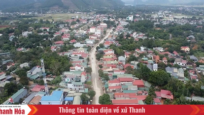 The Party Committee of Nhu Thanh commune is building advanced new rural areas in conjunction with economic restructuring, creating momentum for sustainable development.