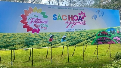 La « capitale des fleurs » du delta du Mékong est en pleine effervescence à l'approche du festival des fleurs et des plantes ornementales.