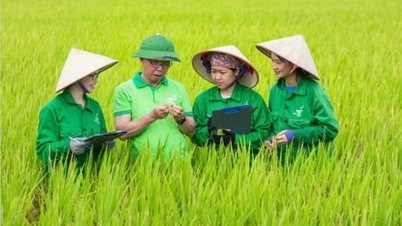 ថ្ងៃយោធាក្នុងឱបក្រសោបប្រជាជន៖ ផ្នែកទី II។ សេចក្តីស្រឡាញ់របស់ប្រជាជនណែនាំជំហានរបស់យើង។