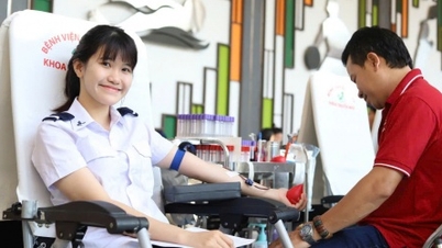A campanha Domingo Vermelho 2025 recebeu 300 unidades de sangue doadas por cidadãos.