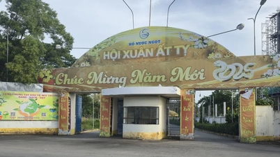 ការត្រួតពិនិត្យ និងការគ្រប់គ្រងកាន់តែកើនឡើង បន្ទាប់ពីការកាប់ដើមឈើស្រល់ធំៗចំនួន ៤២ ដើម នៅក្នុងតំបន់វប្បធម៌បឹងទឹកសាប។