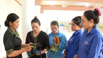 ញ៉ាន កូ លើកកម្ពស់គុណភាពនៃកម្មវិធីអភិវឌ្ឍន៍ជនបទថ្មីឲ្យបានស៊ីជម្រៅ។