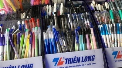 Japan "acquires" the Thien Long ballpoint pen brand: Who brokered the deal?