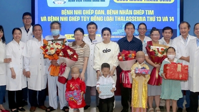 Vier weitere Patienten unterzogen sich im Hue Central Hospital in ganz Vietnam erfolgreich einer Knochenmark- und Organtransplantation.