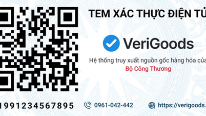 ការដាក់ឱ្យដំណើរការជាផ្លូវការនូវប្រព័ន្ធតាមដាន។