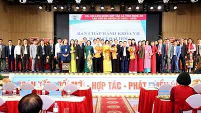 제7차 지방협동조합연합총회, 임기 2025년 - 2030년