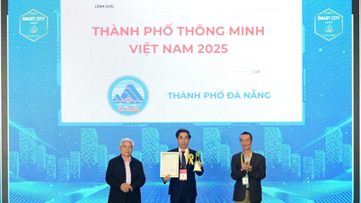 Da Nang was voted 'Most Livable City' at the Vietnam Smart City Award.