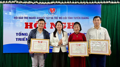 Tuyen Quang besteedt meer dan 3,1 miljard VND aan de zorg voor mensen met een beperking en wezen.