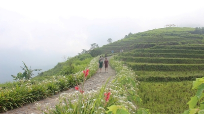 Why is Vietnam among the top 20 ideal destinations for escaping the cold weather in the world?