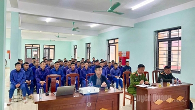 ให้คำปรึกษาด้านกฎหมาย การฝึกอบรมวิชาชีพ และบริการจัดหางานสำหรับบุคคลที่เตรียมตัวกลับคืนสู่สังคม