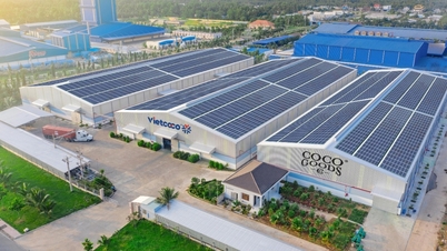 Vietcoco được vinh danh tại Vietnam ESG Awards 2025