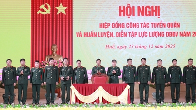 ឆ្ពោះទៅរកការធ្វើឌីជីថលទិន្នន័យលើយុវជនដែលមានអាយុយោធា។