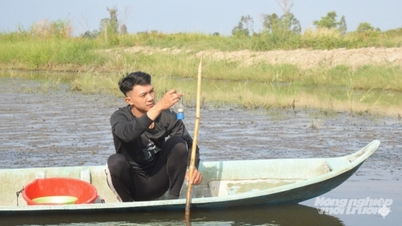 An Giang will start raising brackish water shrimp as early as the beginning of 2026.