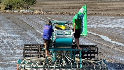 Cần Thơ quyết liệt triển khai Đề án 1 triệu ha lúa, hướng tới sản xuất xanh, phát thải thấp bền vững