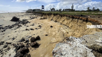 La plus belle plage de Quang Ngai est dévastée par les marées de tempête.