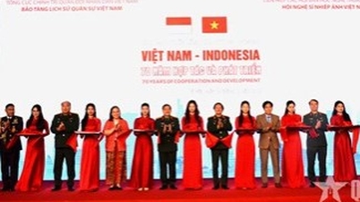 Vernisáž výstavy „Vietnam – Indonésie: 70 let spolupráce a rozvoje“