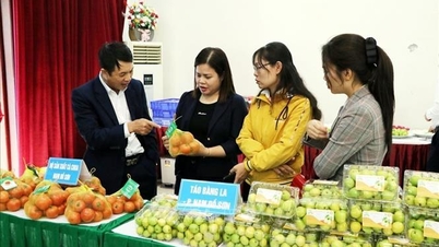 Kết nối nông sản vùng đồng bằng sông Hồng, hướng tới thị trường Tết